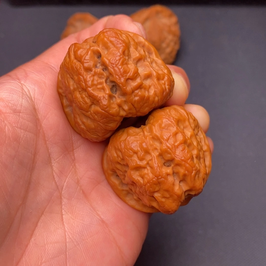 把件文玩核桃秦岭野生植物资源