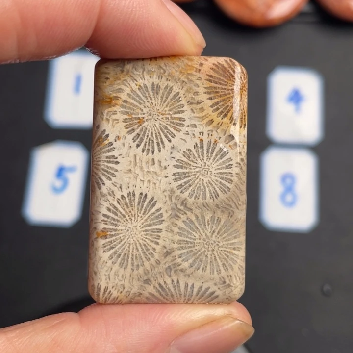 合金珠宝奇石硅化玉990