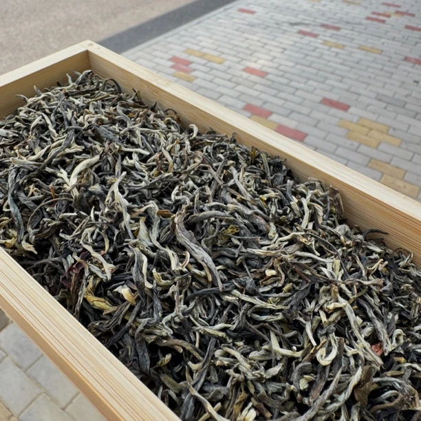 茉莉春峰茉莉花茶春峰传统风味花茶2025鲜香浓郁头采甄选口粮茶