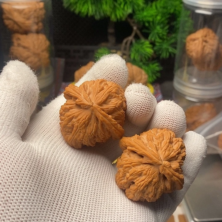 文玩核桃吊坠白狮子