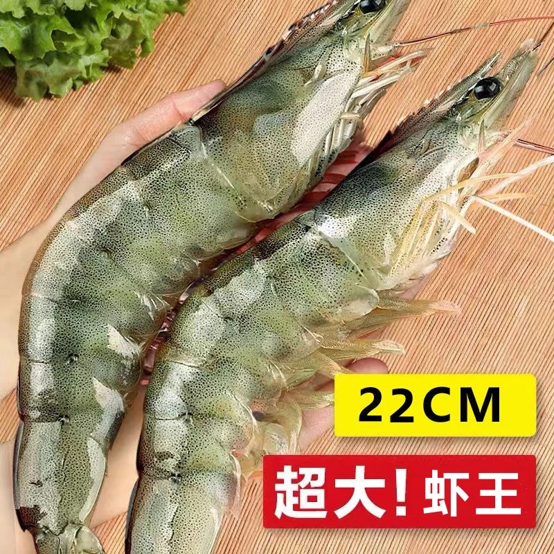 连云港海洋大虾1020盐冻海捕虾海鲜水产基围虾活虾速冻1750克白虾