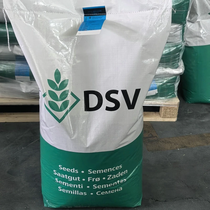 百萌 黑麦草牧草种籽四季高产多年生草籽多茬收割畜牧养殖家禽种