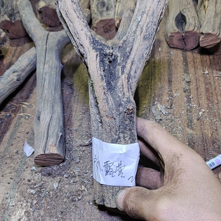 户***营火琉璃原杈不保沉水慎拍！