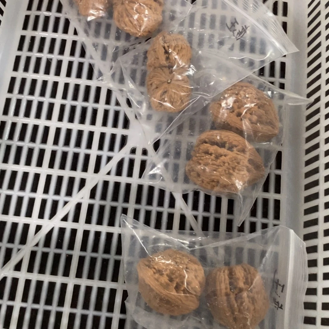 文玩核桃吊坠虎头王有瑕疵