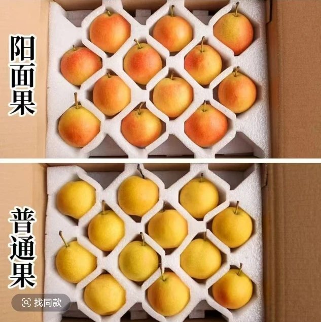 福利来了【老树果＋阳面果南果梨】皮薄软糯多汁-多种口感体验