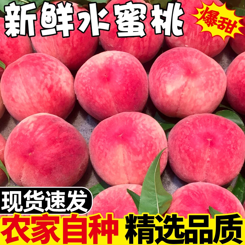 超大桃子新鲜水蜜桃当季脆甜超大毛桃5斤整箱孕妇维生素C爆甜DM
