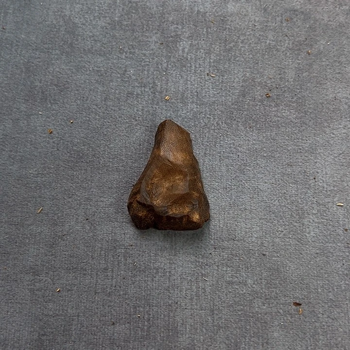 沉香手串千***来海南棋楠