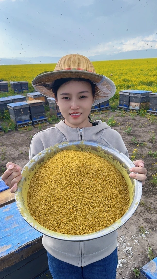 青海油菜花粉5瓶x250g