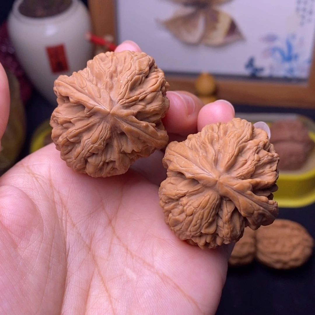 文玩核桃把件37.5红锦鲤