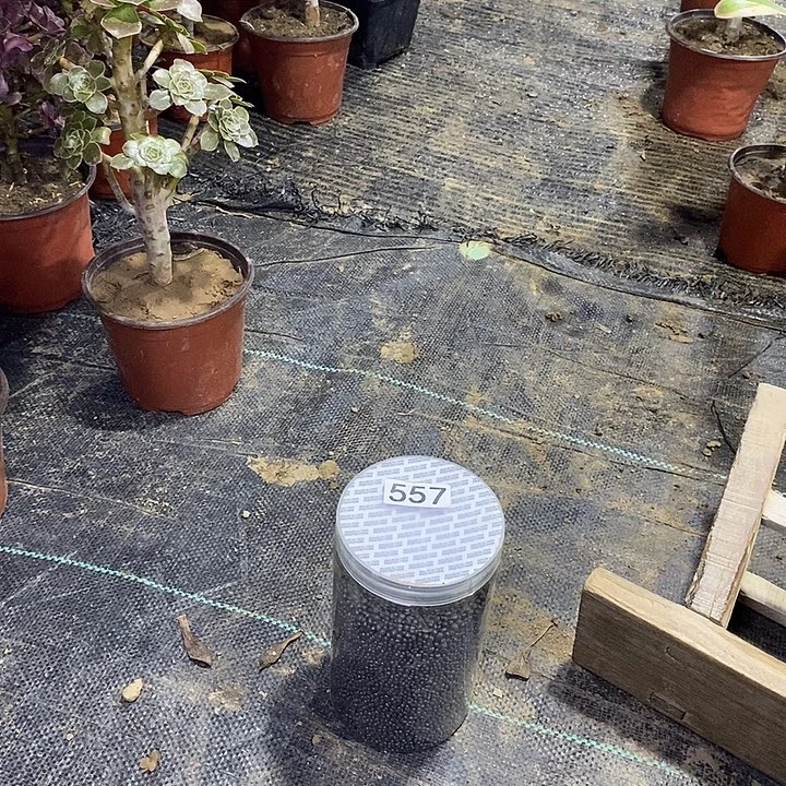 557，111122222333