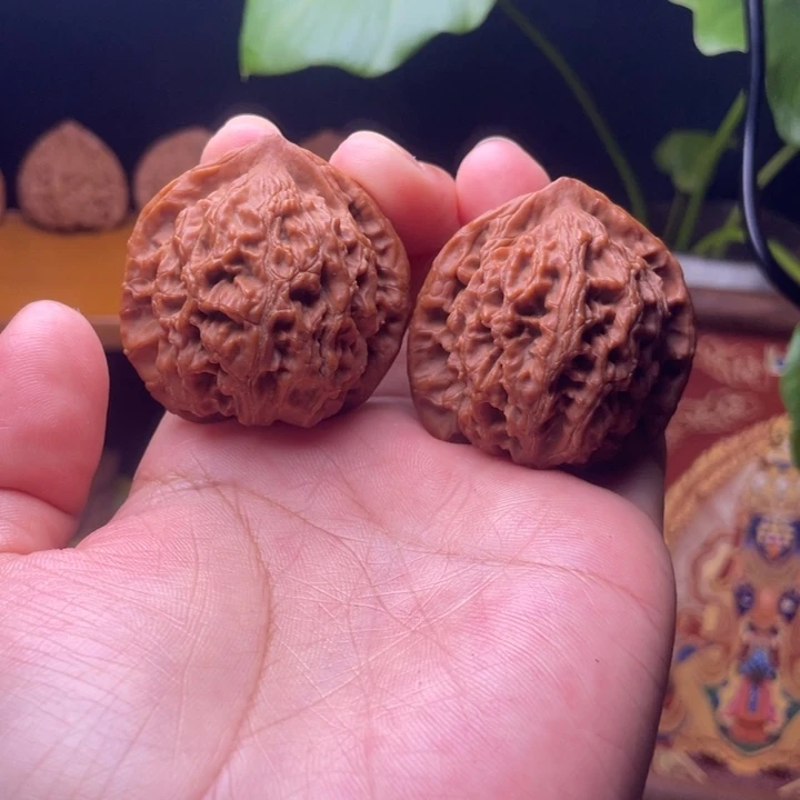 水龙纹  全品无修