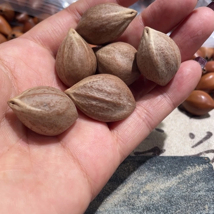 手串/手链橄榄核橄榄核10颗