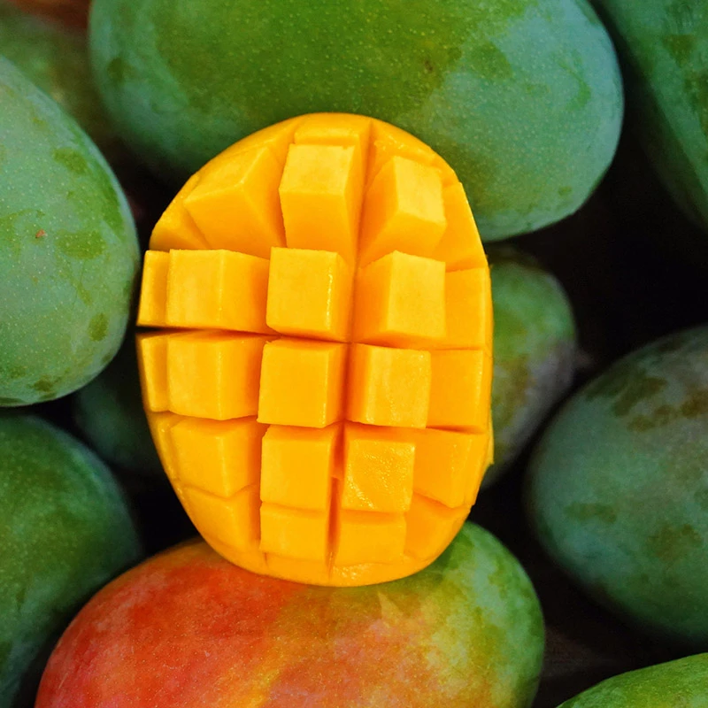 【放软食用】攀枝花凯特芒果新鲜水果香甜多汁整箱水果5斤/8斤