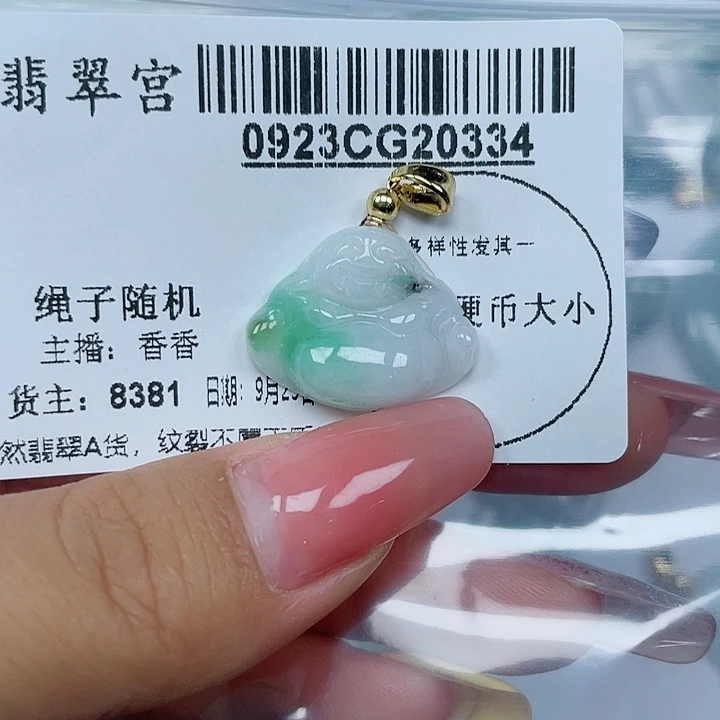 吊坠(不含链)未镶嵌翡翠