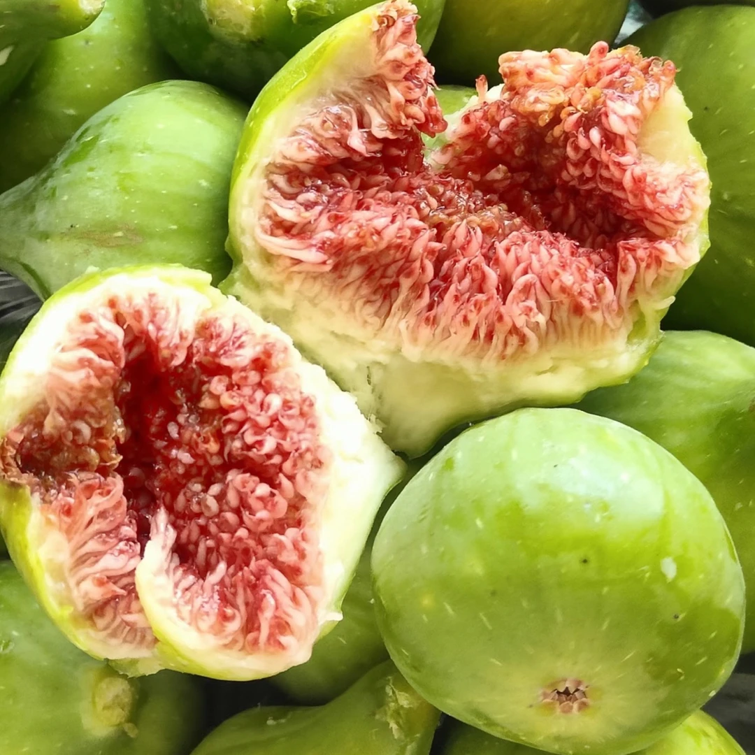 【现货鲜果】头茬威海青皮无花果秋果新鲜应季软糯香甜无花果临沂水果市场仓直发