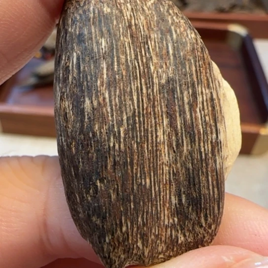 摆件沉香海南野瓜子2.7克