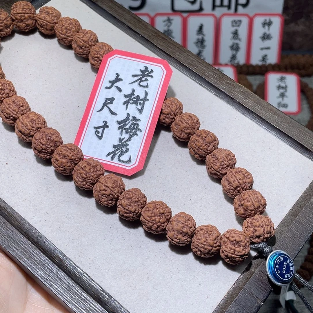 神***书金刚菩提手串0632老树梅花