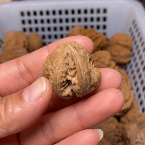 大***鱼文玩核桃把件核桃