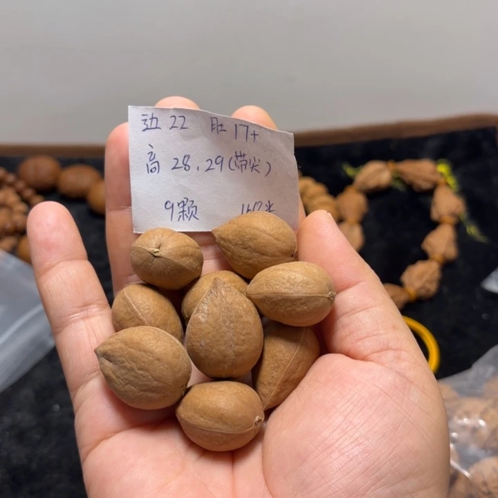 文玩核桃手串姬宝单圈