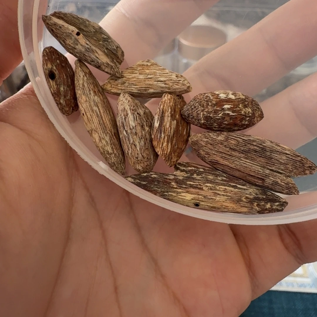 把***向沉香海南黄油格瓜子