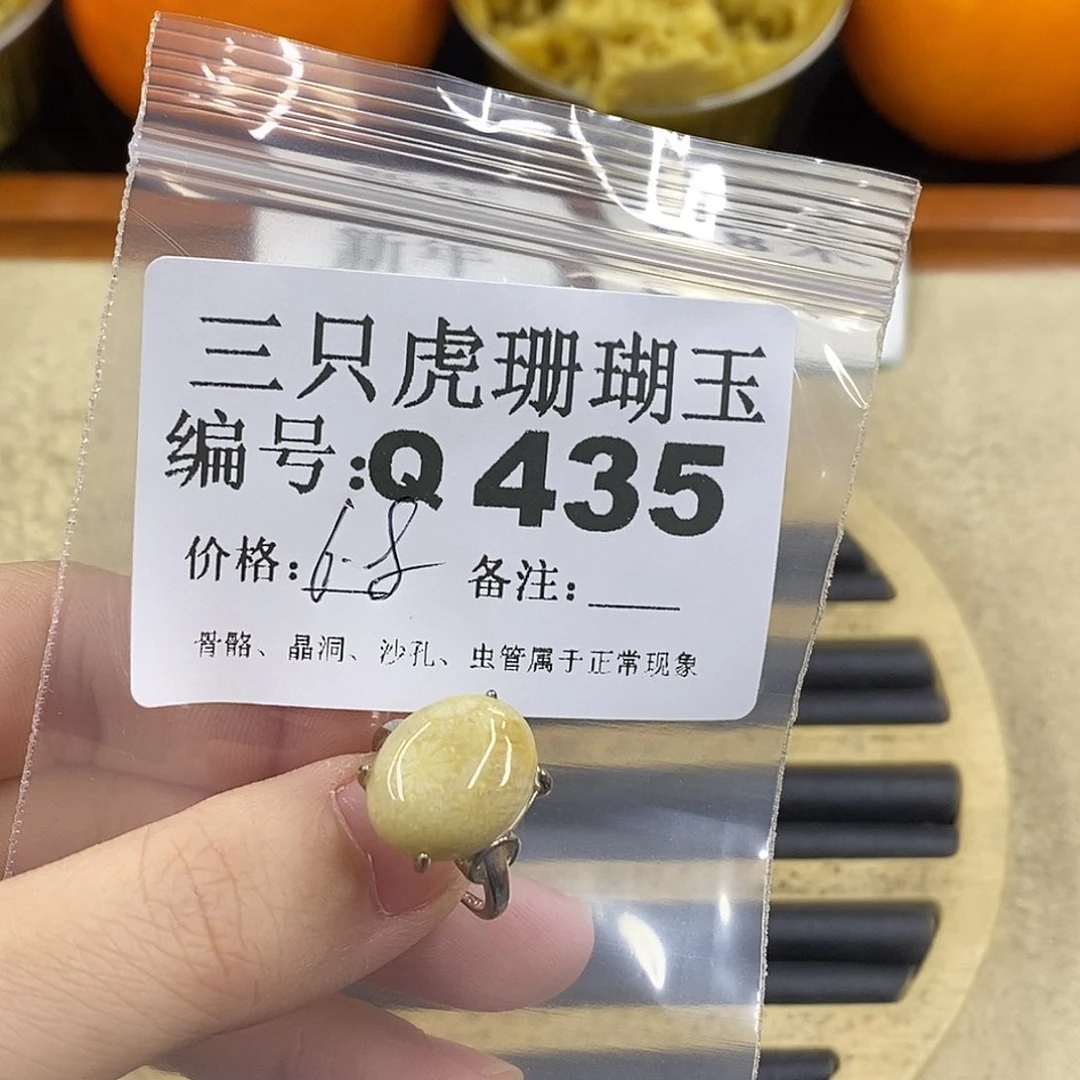 硅化珊瑚（珊瑚玉）1未镶嵌植**生