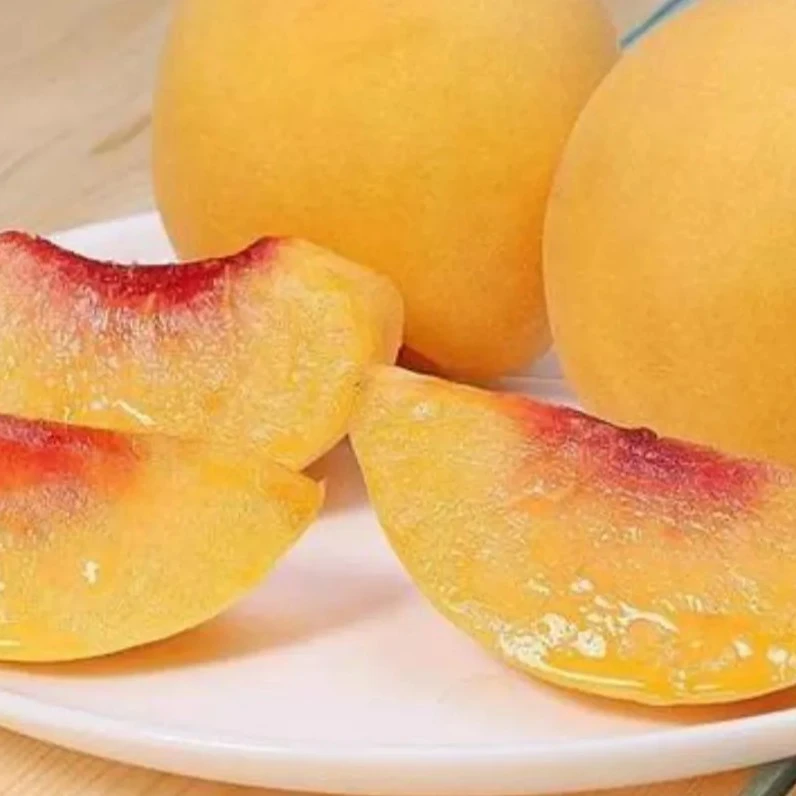 （顺丰包邮）现采现摘衡阳新鲜应季水果