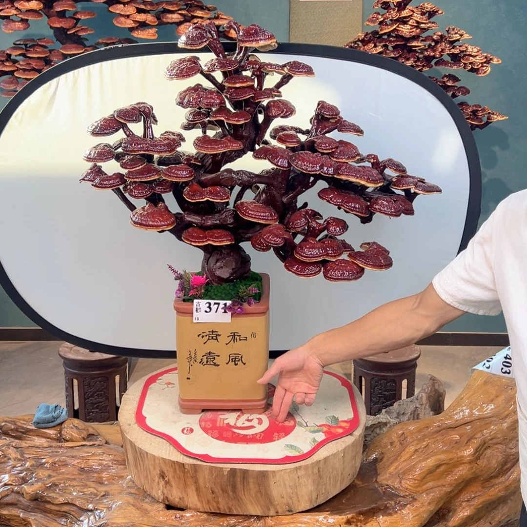 无花朵888888888888