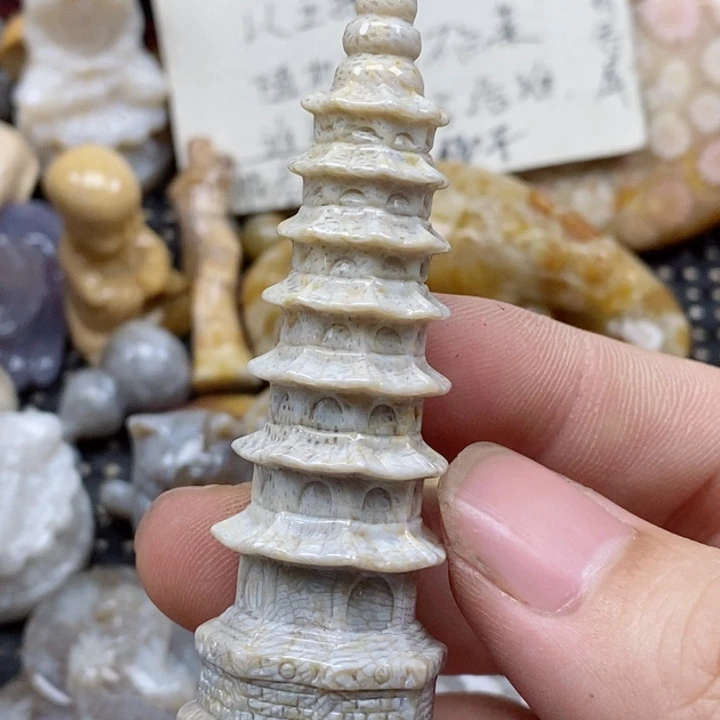 颈饰未镶嵌硅化珊瑚（珊瑚玉）