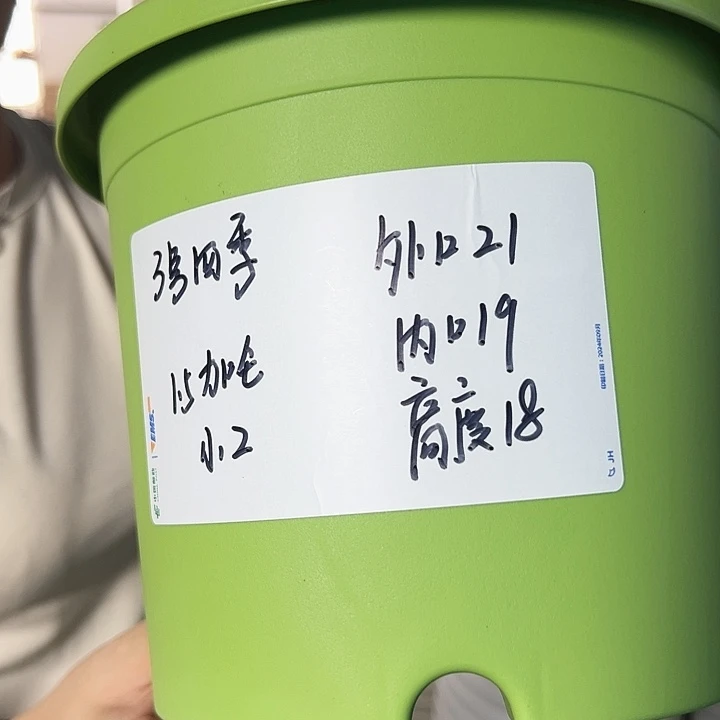 特价3四季口21高18果绿无托10只