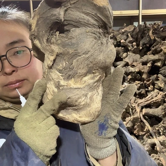 香榧木用****0火琉璃的毛料摆件