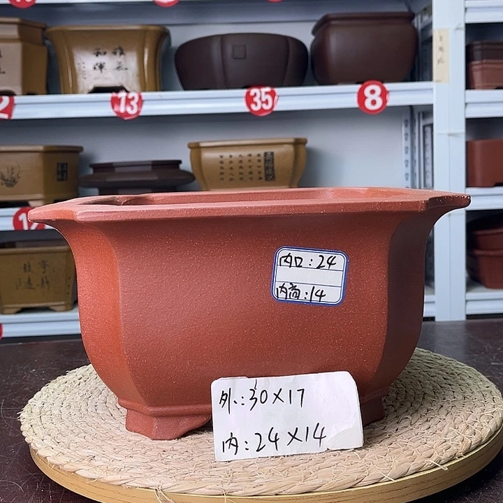 花盆紫砂你在一起