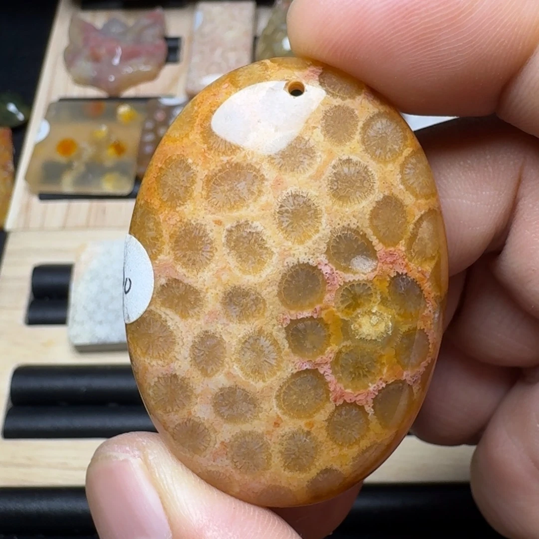 未镶嵌纯天然色有机玉石保真色硅化玉