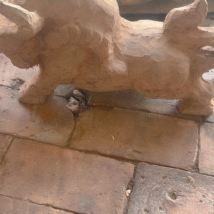 香榧木8888888888888