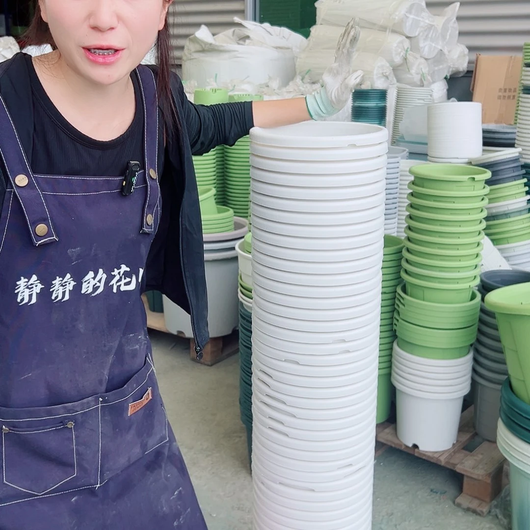 瑕疵四季盆4#白色8个无托