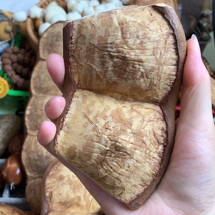 红***林千眼菩提吊坠豆荚