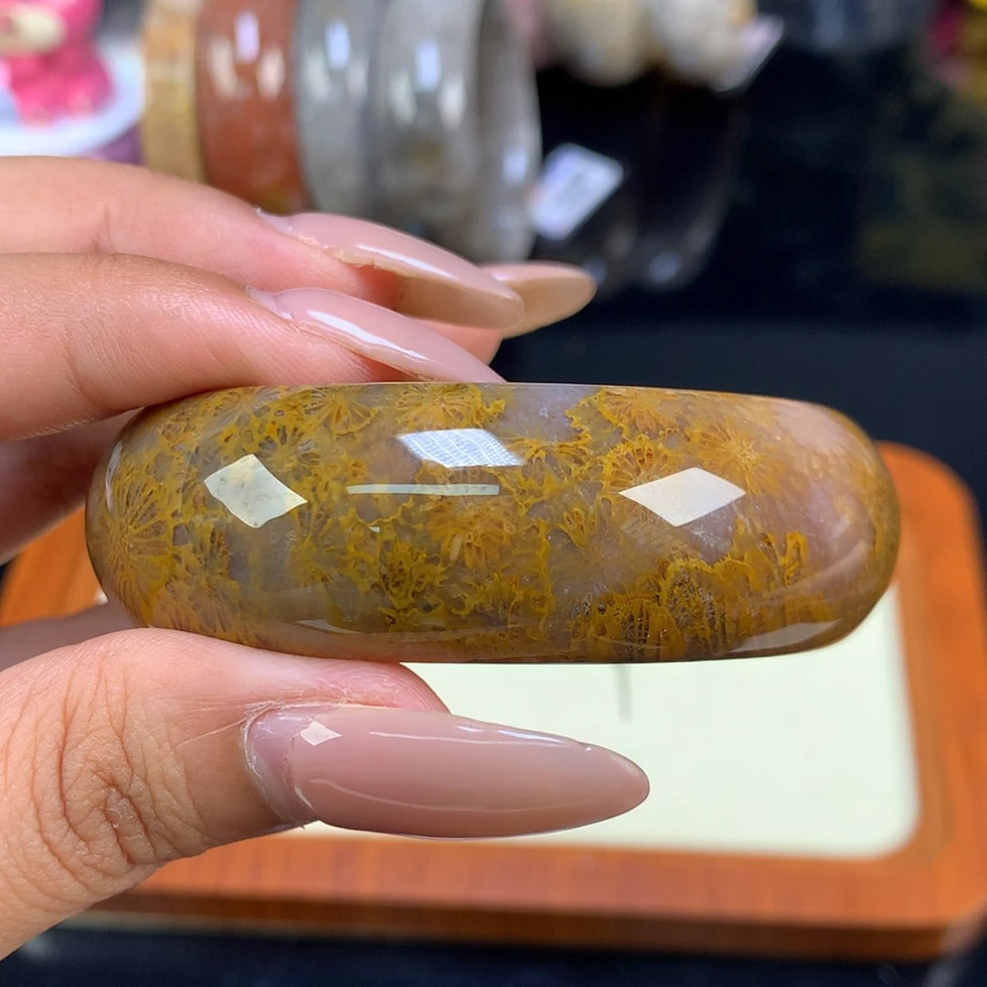 【闪购商品】颈饰未镶嵌硅化珊瑚（珊瑚玉）12号53.6