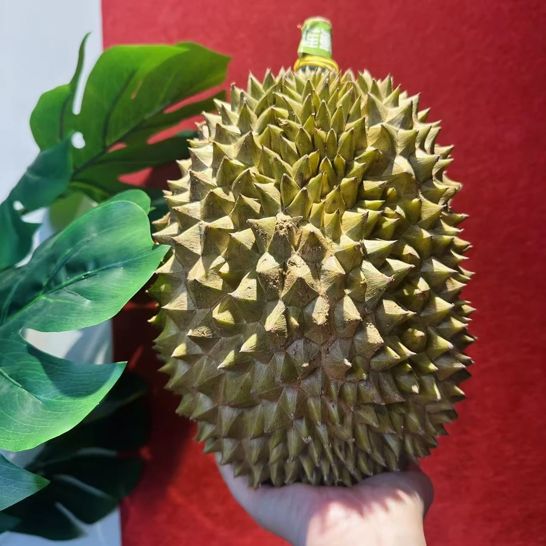 黄金普雅 整果【一物一拍】新鲜榴莲 核小 4-6斤黄金普雅菲律宾