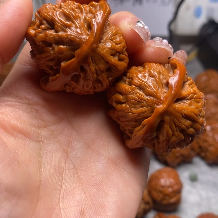 平***乐大叶紫檀（黑酸枝木类）