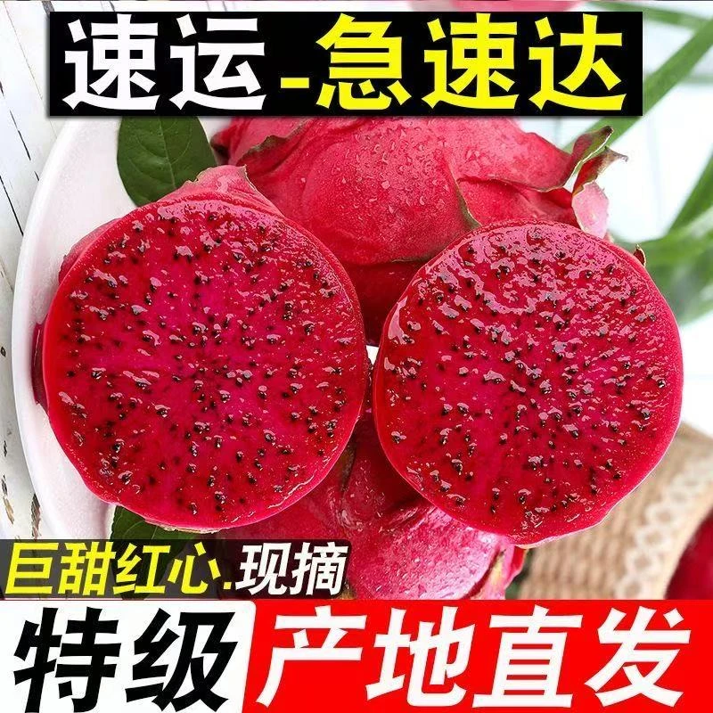 产地直发红心火龙果新鲜现摘超甜红肉正宗金都一号应季水果批发