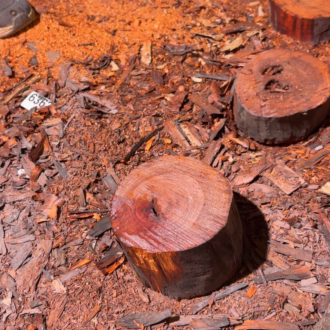 天***淡染料紫檀（血檀）6623