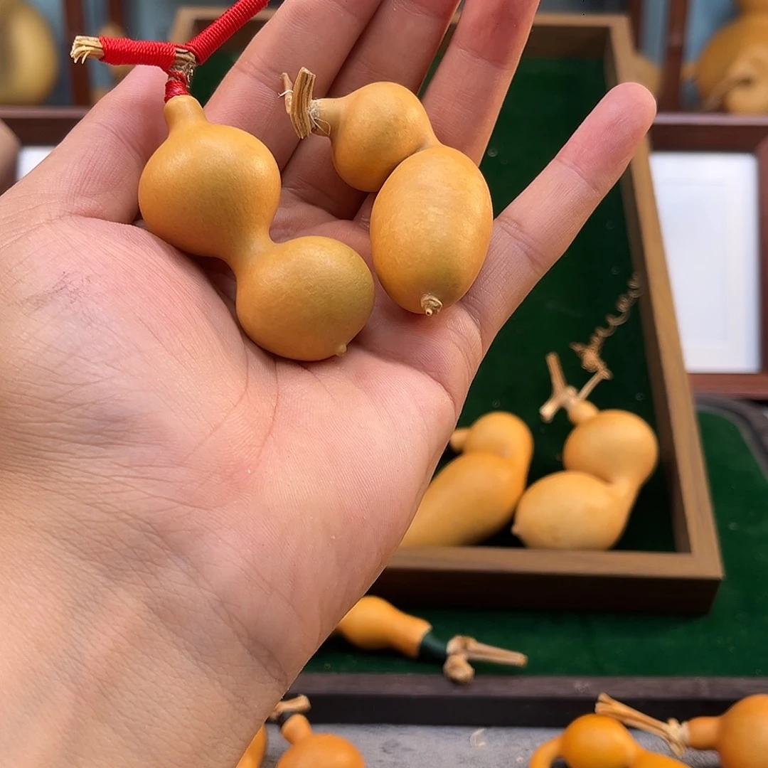 木M****舍123475747