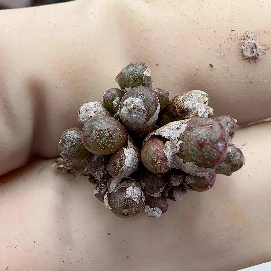 547福利福利福利