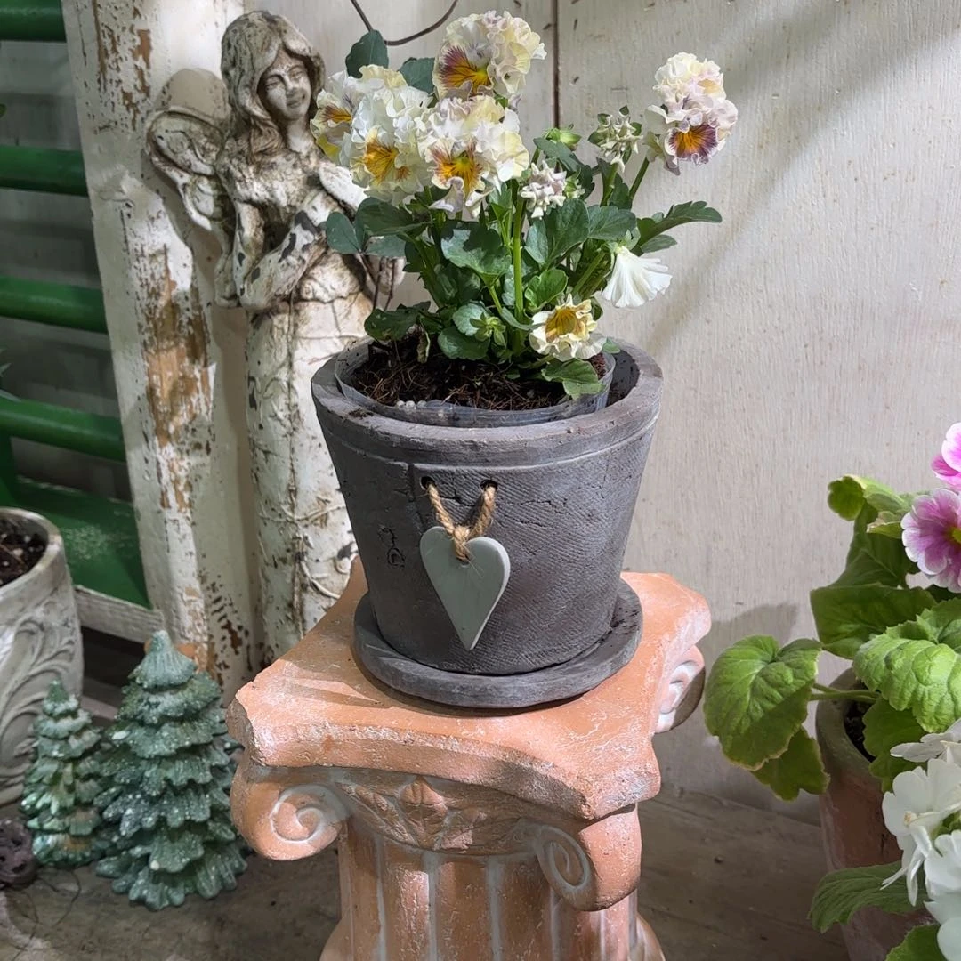 许纯的花房 爱心一套