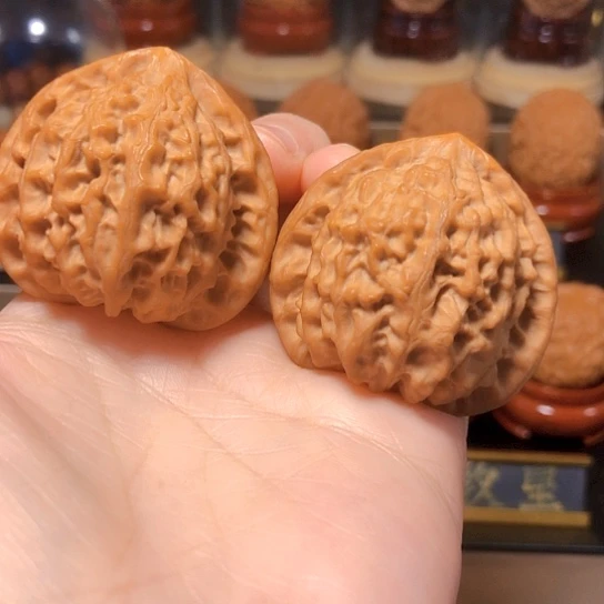 精品：平谷大金牛