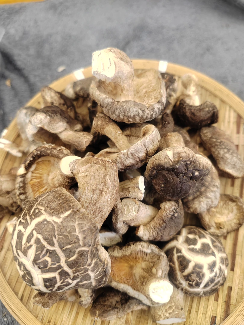 丑菇土特产干香菇干货冬菇味浓肉厚菌菇长腿香菇 1