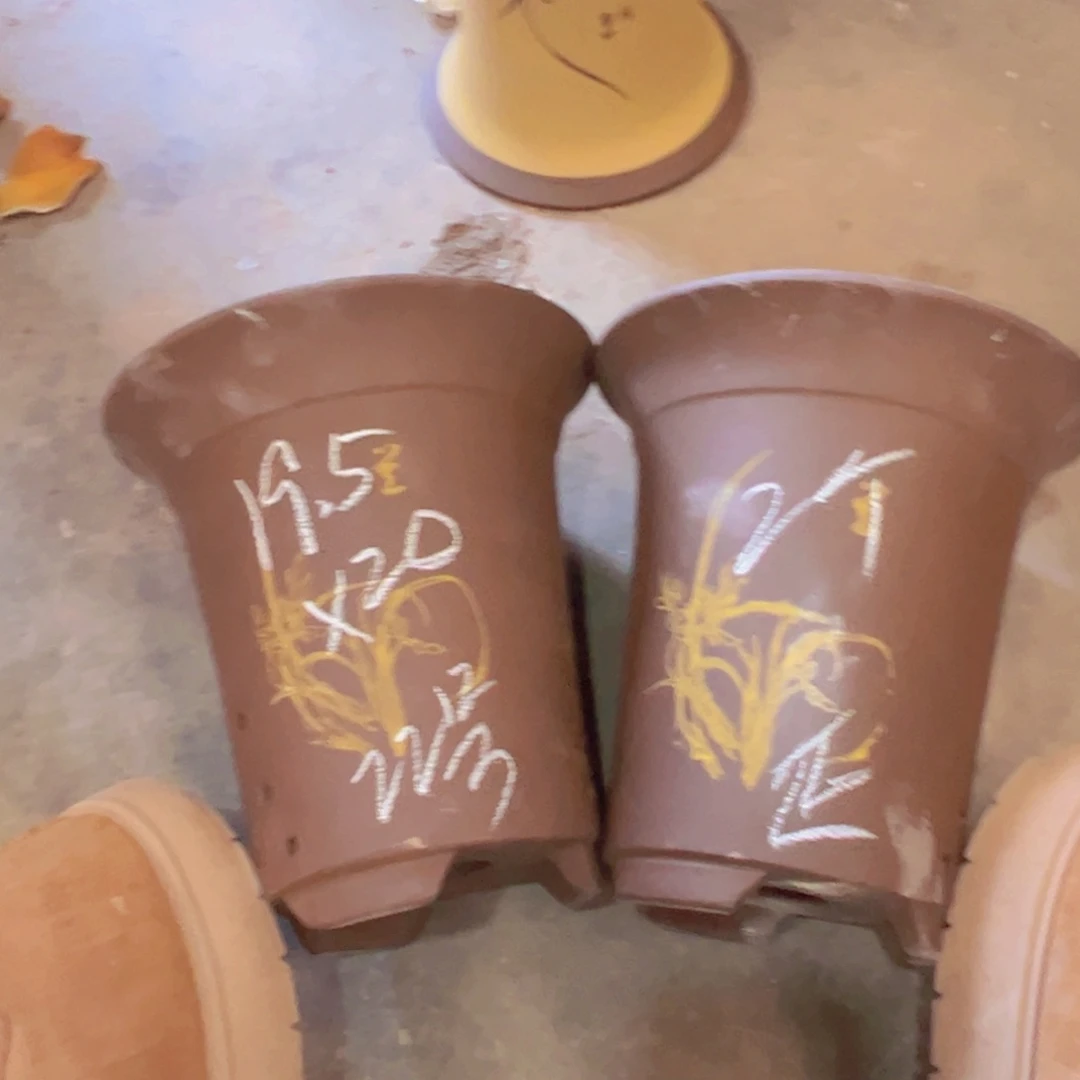 紫砂25号………………………………