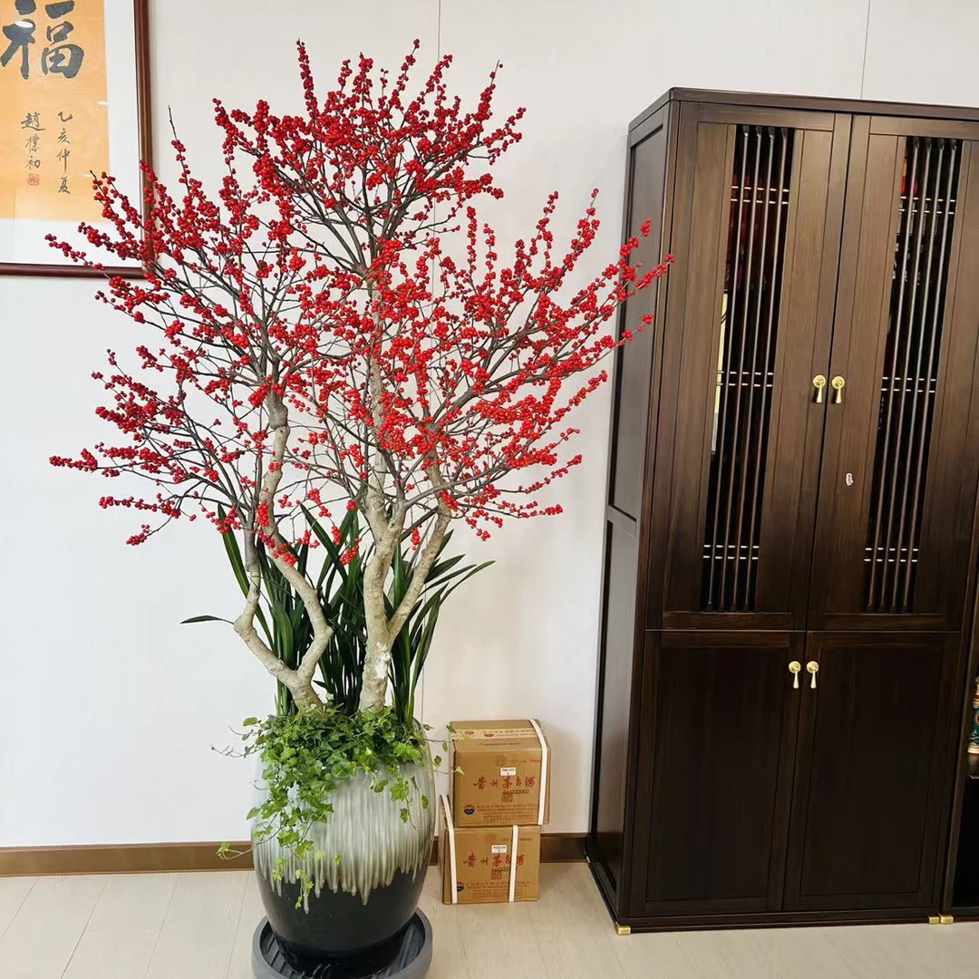 冬青花瓶花卉室内盆栽冬青盆栽乔迁之喜摆件喜庆客厅北美绿植庭院