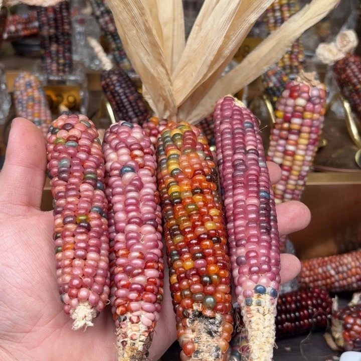 柏香籽/百香籽吊坠z*