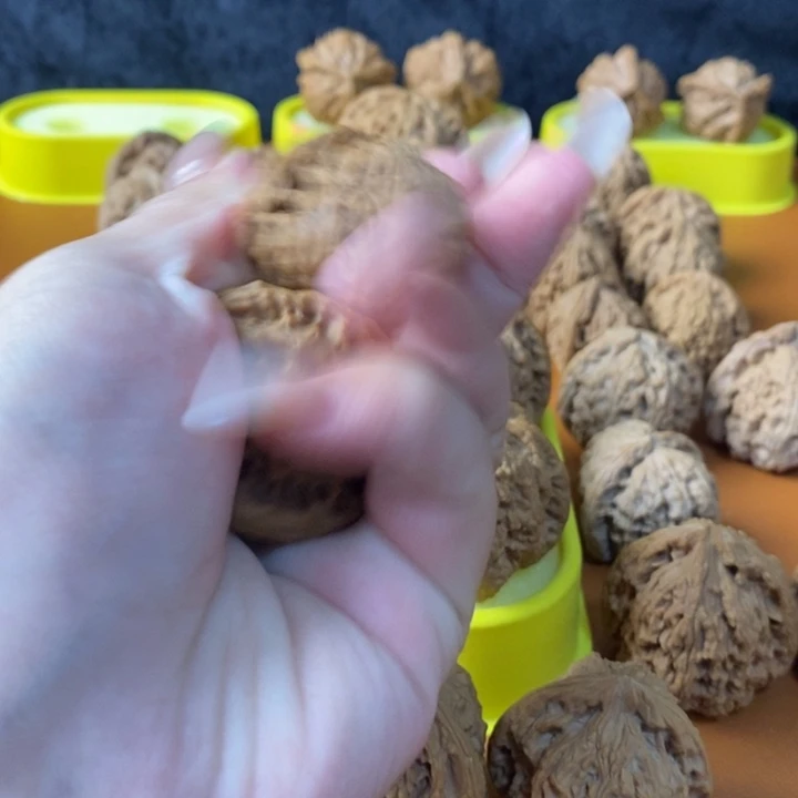 X***木质类白狮子核桃