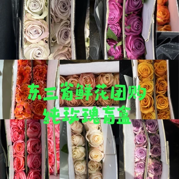 纯玫瑰盲盒10枝/20枝 沈阳发货